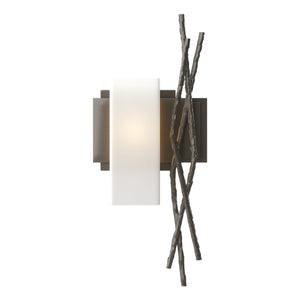 Hubbardton Forge - 207670-SKT-LFT-07-GG0351 - One Light Wall Sconce - Brindille - Dark Smoke