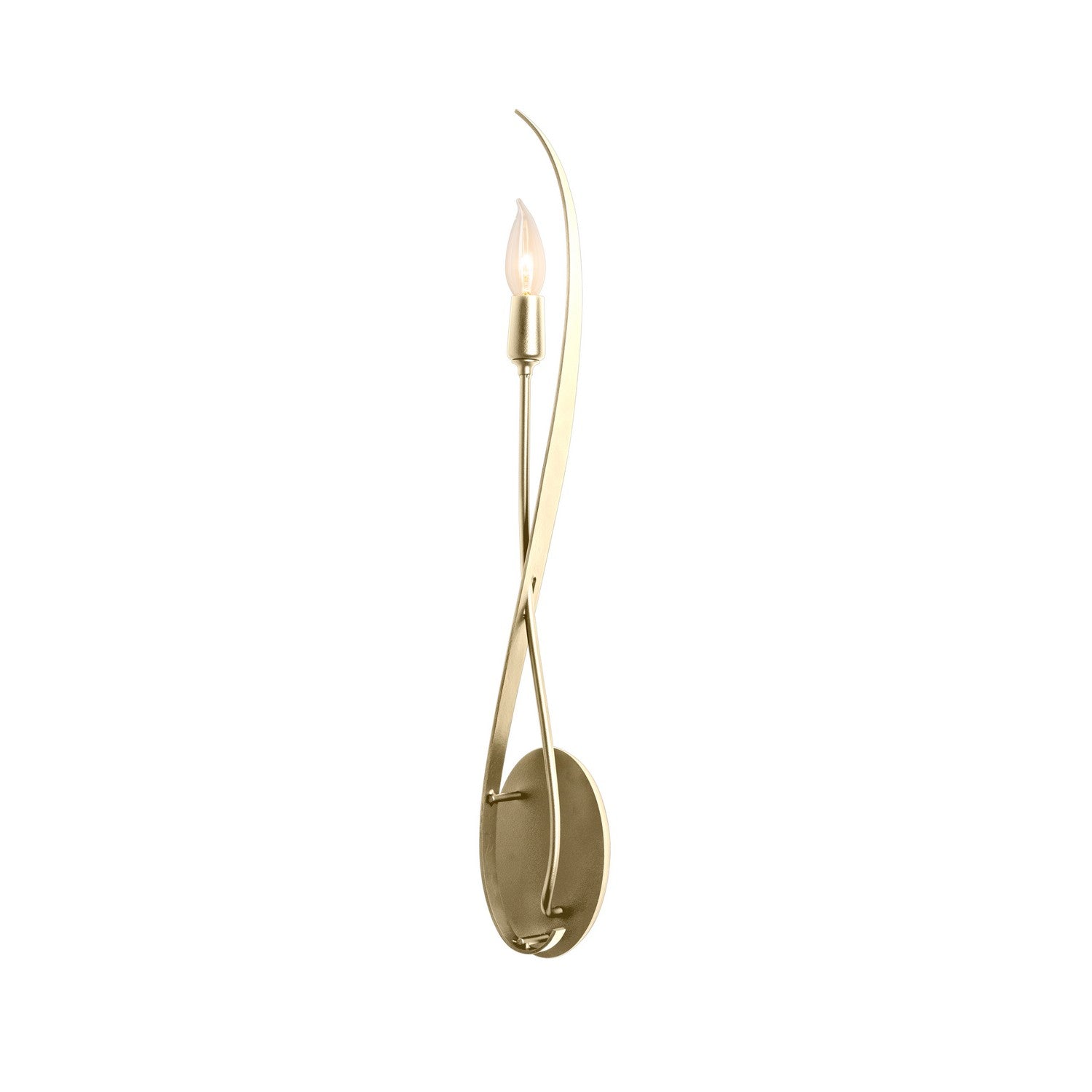 Hubbardton Forge - 209120-SKT-89 - Willow Sconce - Willow - Ink