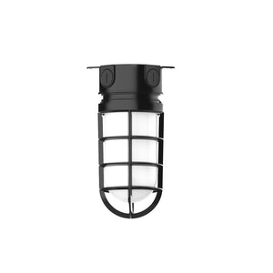 Montclair Light Works - FMC050-41-G07 - One Light Flush Mount - Vaportite - Black