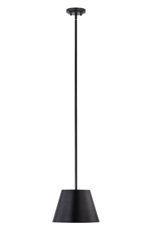 Z-Lite - 2307-12MB - One Light Pendant - Lilly - Matte Black