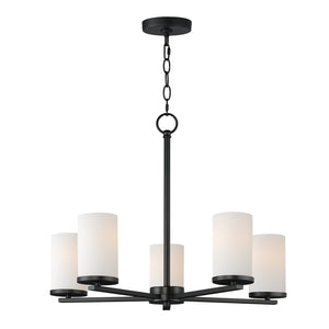 Maxim - 10286SWBK - Five Light Chandelier - Lateral - Black