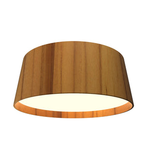 Accord Lighting - 5098LED.12 - LED Ceiling Mount - Conical - Teak