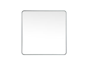 Elegant Lighting - MR804242S - Mirror - Evermore - Silver