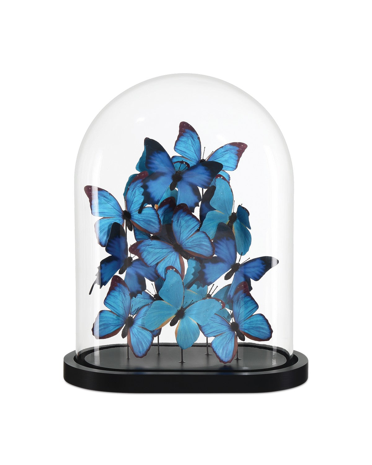 Currey and Company - 1200-0897 - Butterflies - Blue/Black/Clear