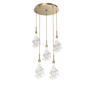 Hammerton Studio - CHB0059-05-HB-BC-C01-L1 - LED Pendant - Blossom - Heritage Brass