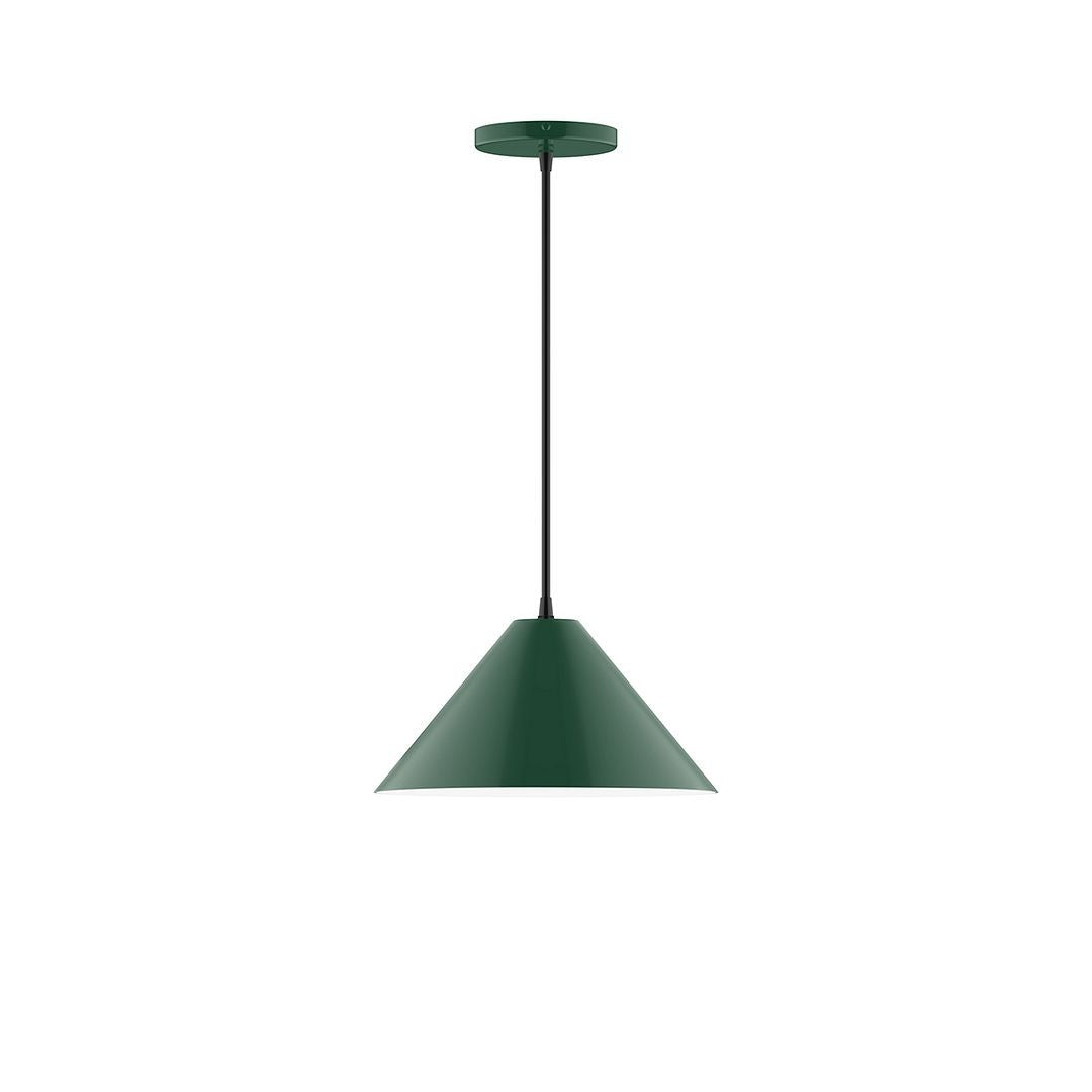 Montclair Light Works - PEB422-42-C12-L12 - LED Pendant - Axis - Forest Green