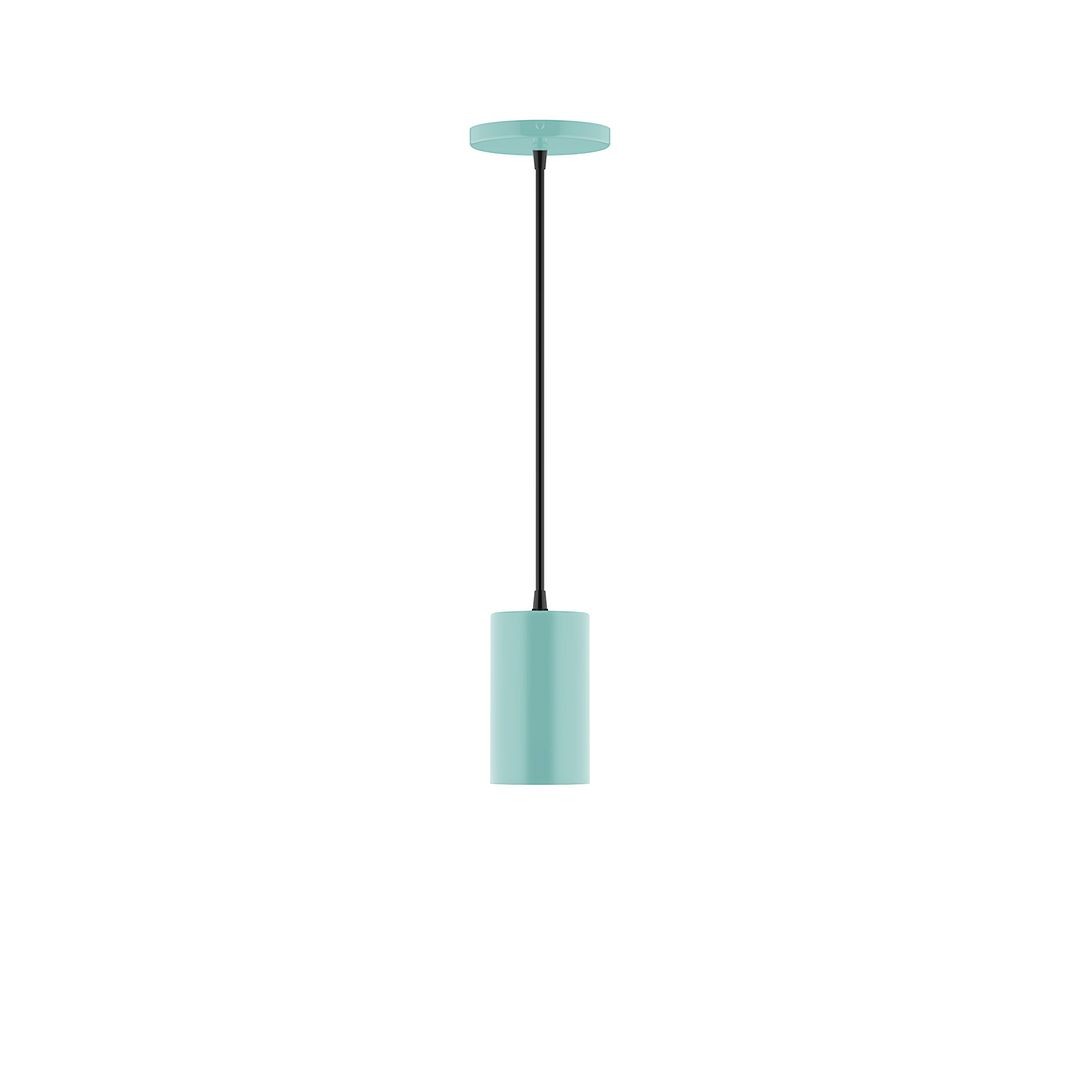 Montclair Light Works - PEB425-48-C01 - One Light Pendant - Axis - Sea Green