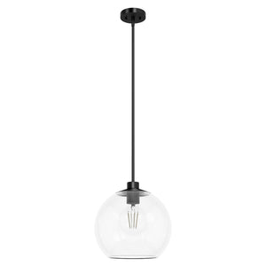 Hunter - 19512 - One Light Pendant - Xidane - Matte Black