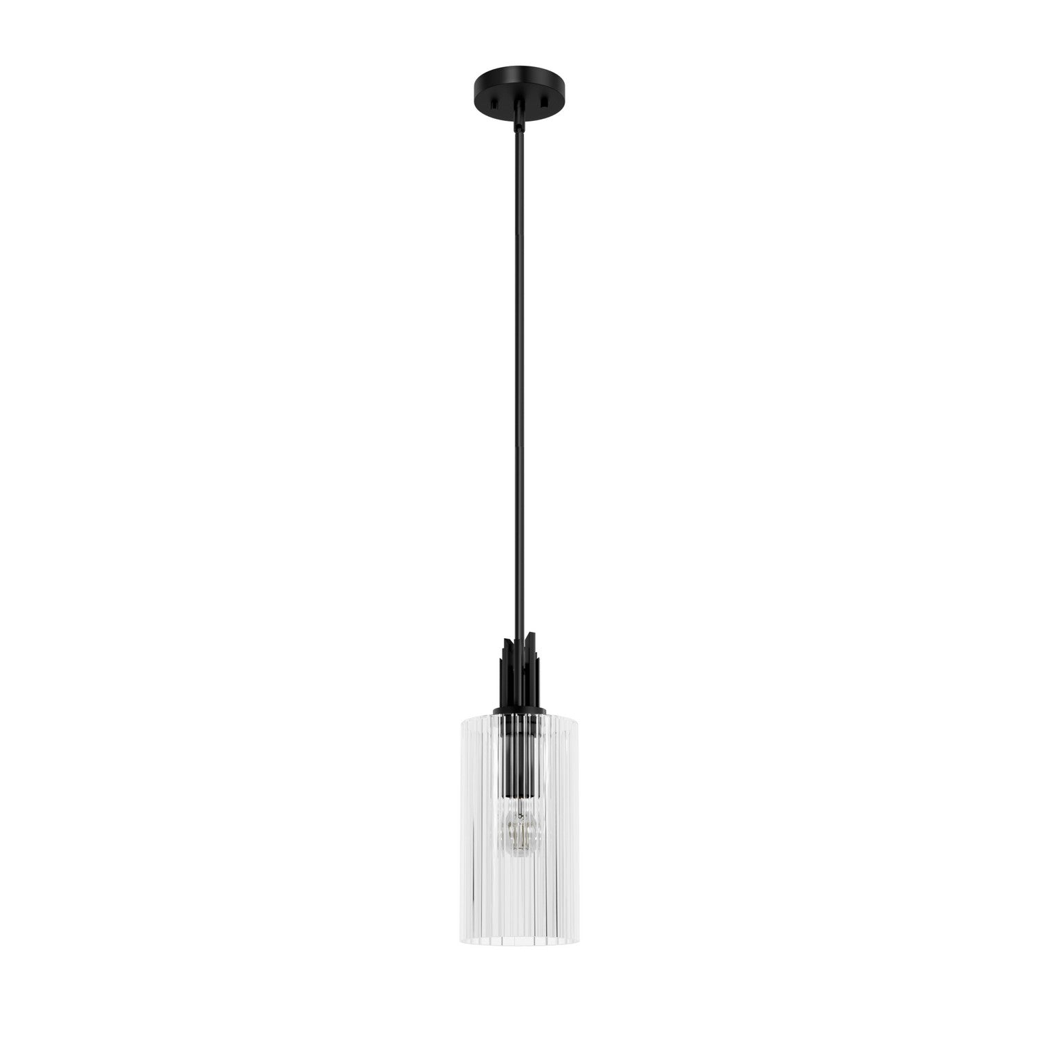 Hunter - 45224 - One Light Pendant - Gatz - Matte Black