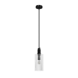 Hunter - 45224 - One Light Pendant - Gatz - Matte Black