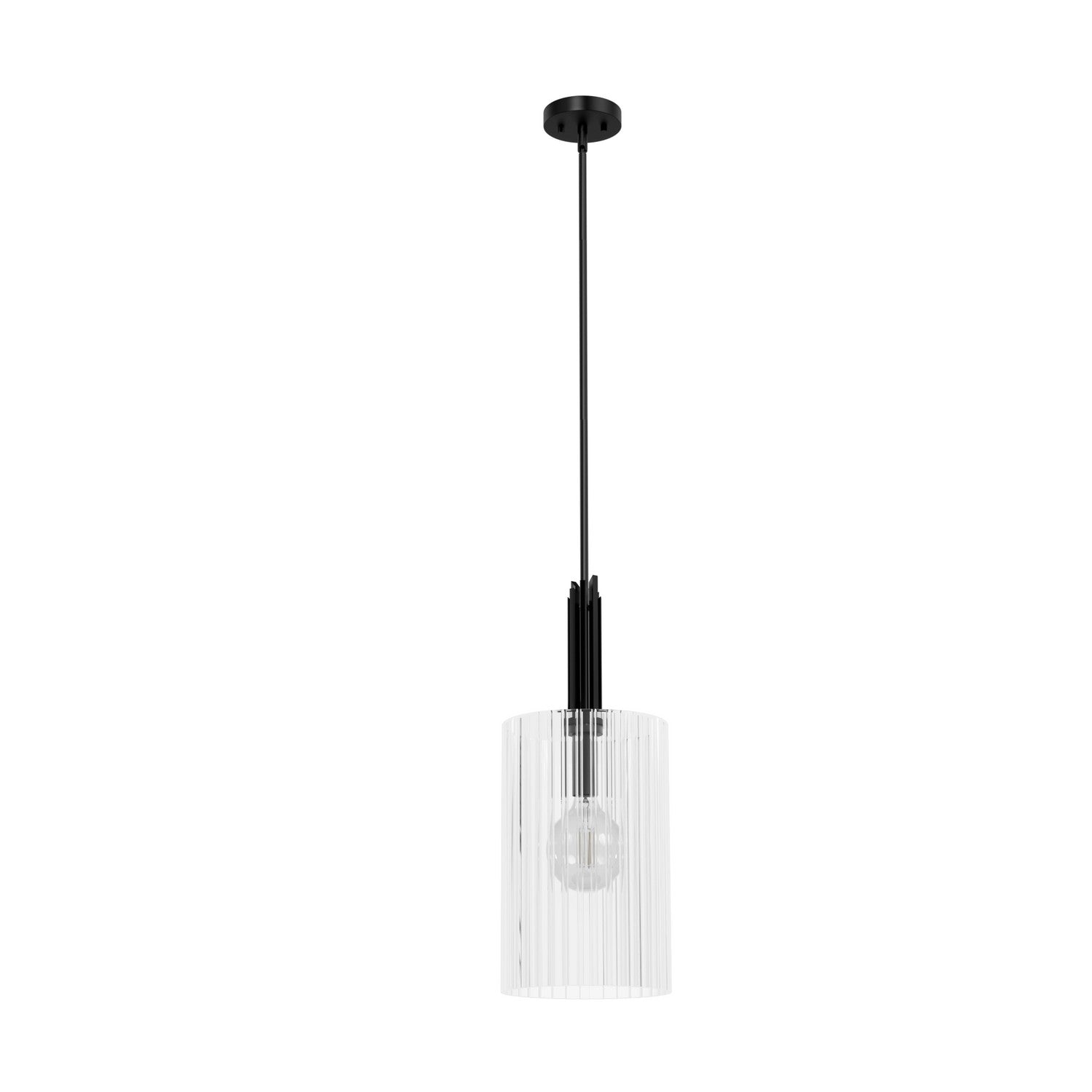 Hunter - 45225 - One Light Pendant - Gatz - Matte Black