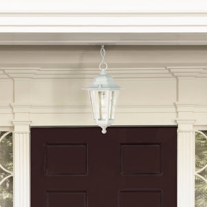 Nuvo Lighting - 60-991 - One Light Hanging Lantern - Cornerstone - White