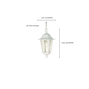 Nuvo Lighting - 60-991 - One Light Hanging Lantern - Cornerstone - White