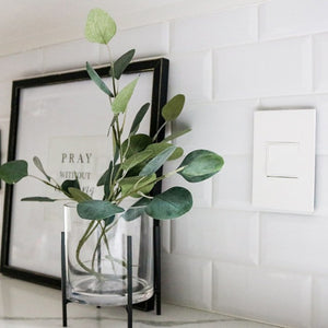 Legrand - ARPTR201GW2 - 20A One-Gang Pop-Out Outlet - adorne - White