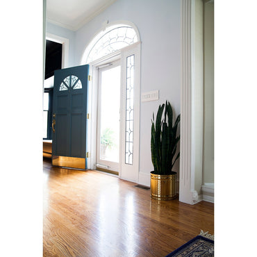 Legrand - AWP1G2WH6 - One-Gang Screwless Wall Plate with Microban - adorne - Gloss White