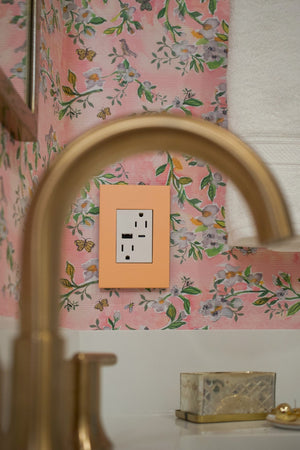 Legrand - AWP1G3PY - One-Gang Screwless Wall Plate with Microban - adorne - Peachy