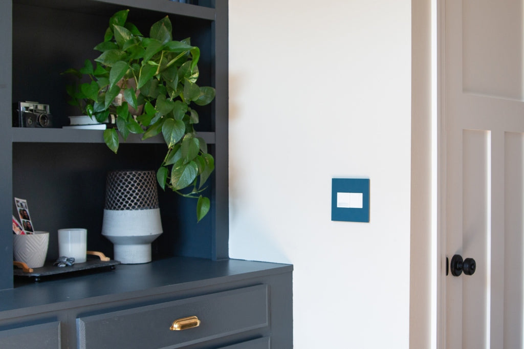 Legrand - AWP2GMY - Two-Gang Screwless Wall Plate with Microban - adorne - Mystic