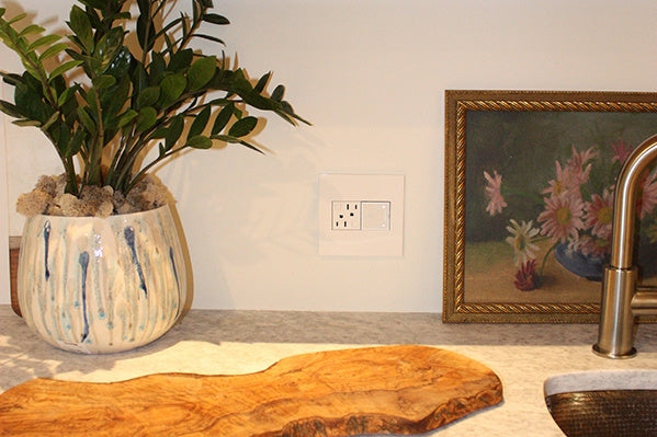 Legrand - AWP2GWH4 - Two-Gang Screwless Wall Plate with Microban - adorne - Gloss White