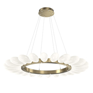 Hammerton Studio - CHB0071-56-HB-WL-CA1-L3 - LED Chandelier - Fiori - Heritage Brass