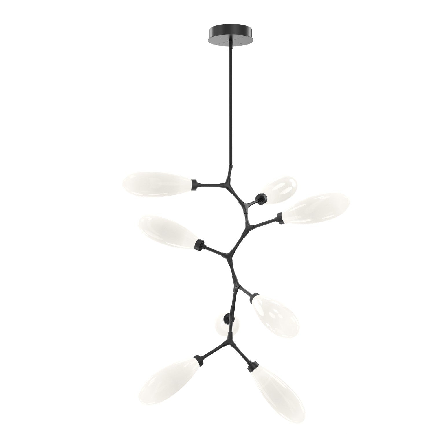 Hammerton Studio - CHB0071-VB-MB-WL-001-L3 - LED Vine - Fiori - Matte Black