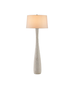 Currey and Company - 8000-0165 - One Light Floor Lamp - Edwell - Whitewash