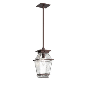 Hammerton Studio - OPB0077-01-SB-C-001-E2 - One Light Pendant - Outdoor Lighting - Statuary Bronze