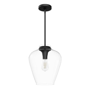 Hunter - 49011 - One Light Pendant - Vidria - Matte Black