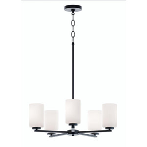 AFX Lighting - LEOP24MBBK - Five Light Chandelier - Leo - Black
