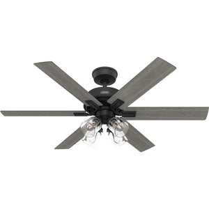Hunter - 52903 - 52" Ceiling Fan - Fonthill - Matte Black