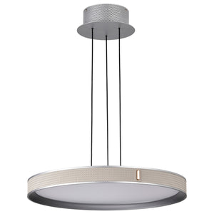 Nuvo Lighting - 62-3021 - LED Pendant - Bandon - Gray