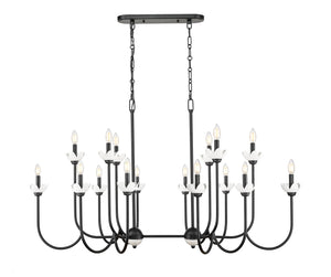 Z-Lite - 352-56L-MB - 16 Light Linear Chandelier - Allistair - Matte Black