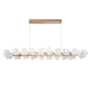 Hammerton Studio - PLB0059-60-NB-BC-CA1-L3 - LED Linear Suspension - Blossom - Novel Brass