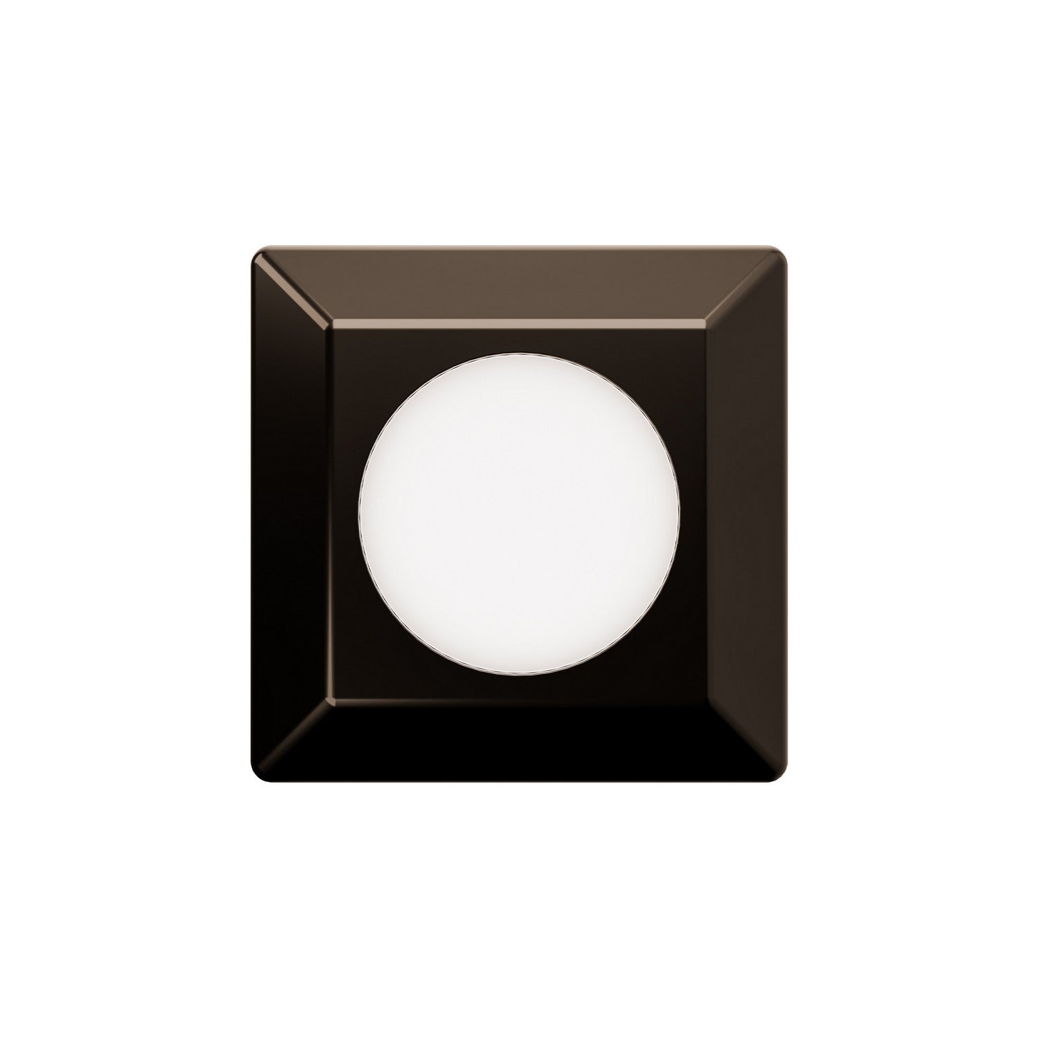 W.A.C. Lighting - 2551-27BS - LED Landscape Surface Mount Indicator Light - 2551 - Bronze Stainless Steel