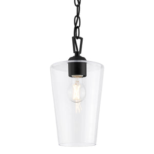Progress Lighting - P500506-031 - One Light Pendant - Celino - Black