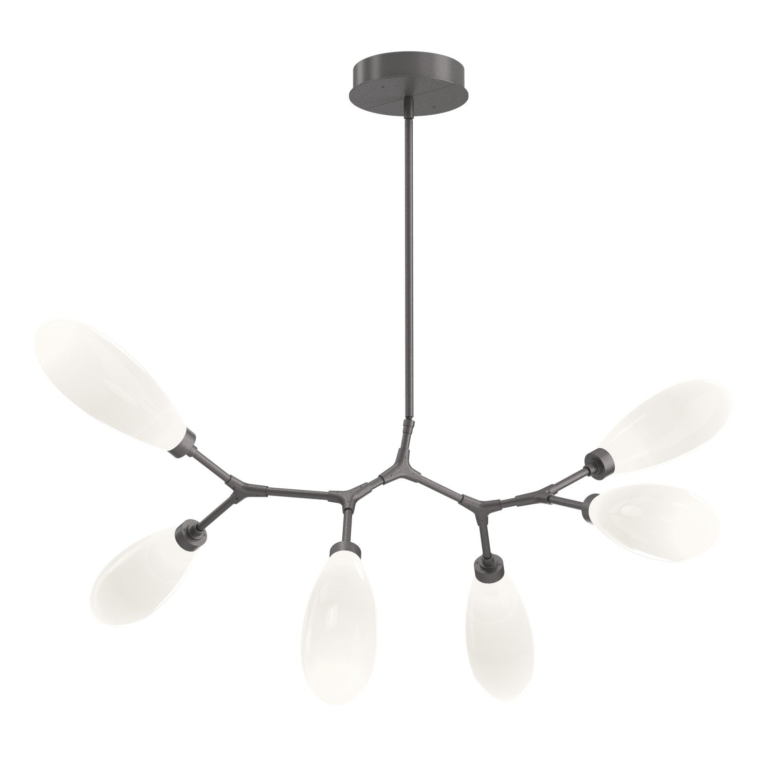 Hammerton Studio - PLB0071-BA-GP-WL-001-L3 - LED Branch - Fiori - Graphite