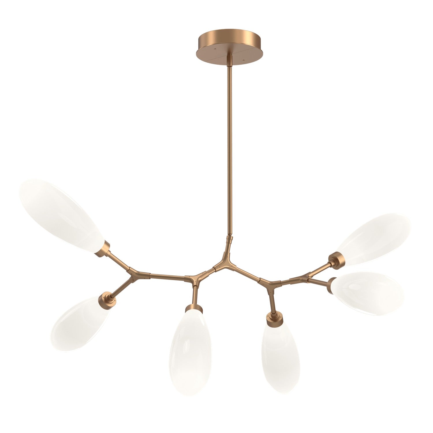 Hammerton Studio - PLB0071-BA-NB-WL-001-L3 - LED Branch - Fiori - Novel Brass