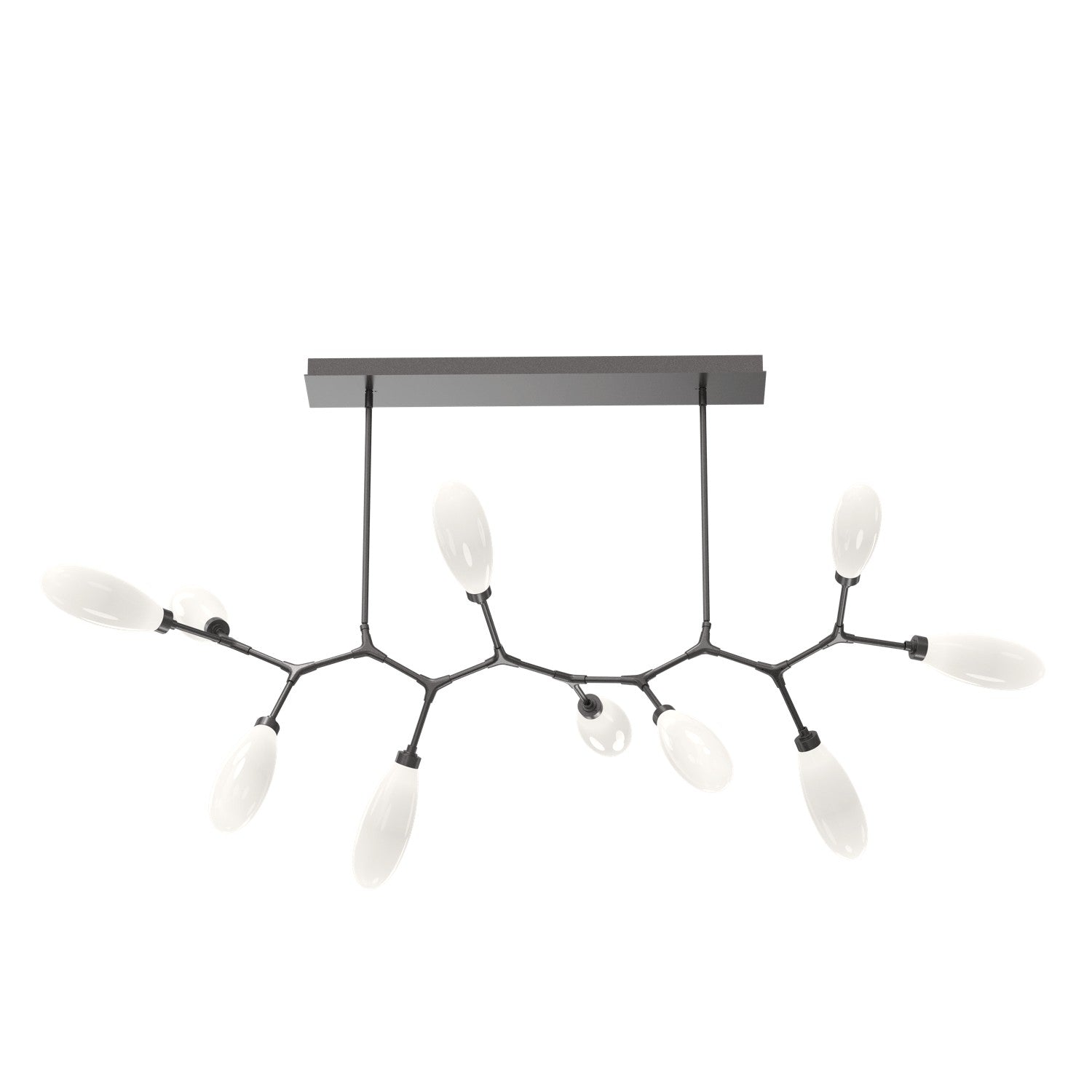 Hammerton Studio - PLB0071-BC-GP-WL-001-L3 - LED Branch - Fiori - Graphite