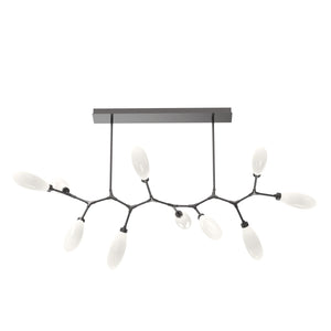 Hammerton Studio - PLB0071-BC-GP-WL-001-L3 - LED Branch - Fiori - Graphite