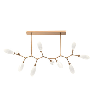 Hammerton Studio - PLB0071-BC-NB-WL-001-L3 - LED Branch - Fiori - Novel Brass