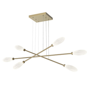Hammerton Studio - PLB0071-M3-GB-WL-CA1-L3 - LED Lantern - Fiori - Gilded Brass