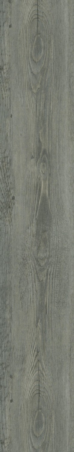 Elegant Lighting - LVFGRY03-7-7-V2 - Luxury Vinyl Flooring - Legacy - Ash Grey