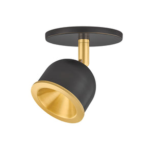 Hudson Valley - 3041-AGB/DB - LED Flush Mount - Tuthill - Aged Brass