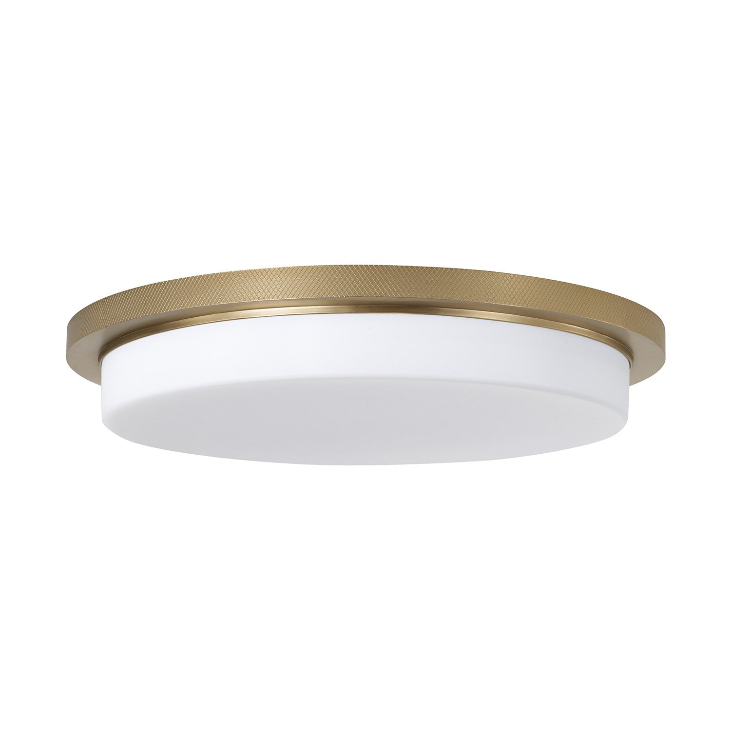 Capital Lighting - 261311AD - LED Flush Mount - Dominic - Aged Brass