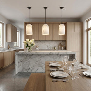 Visual Comfort Studio - CP1491AI - One Light Pendant - Savina - Aged Iron | Aged Iron