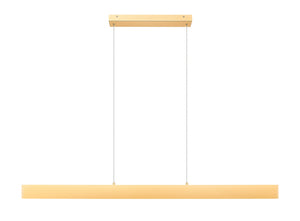 Z-Lite - 1016-55L-GLD-LED - LED Linear Chandelier - Hudson - Gold