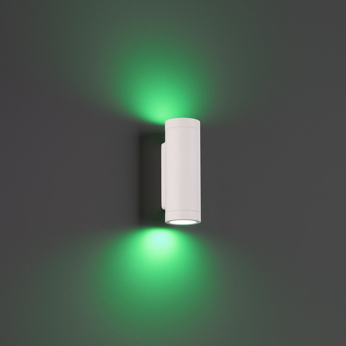 W.A.C. Lighting - 3911-CSWT - LED Landscape Wall Mount - Colorscaping - White on Aluminum