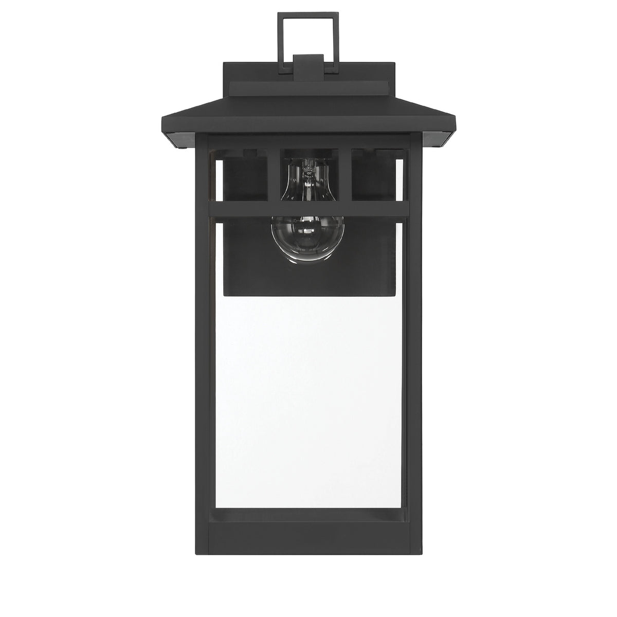 Hunter - 46070 - One Light Outdoor Wall Mount - Yancy House - Matte Black