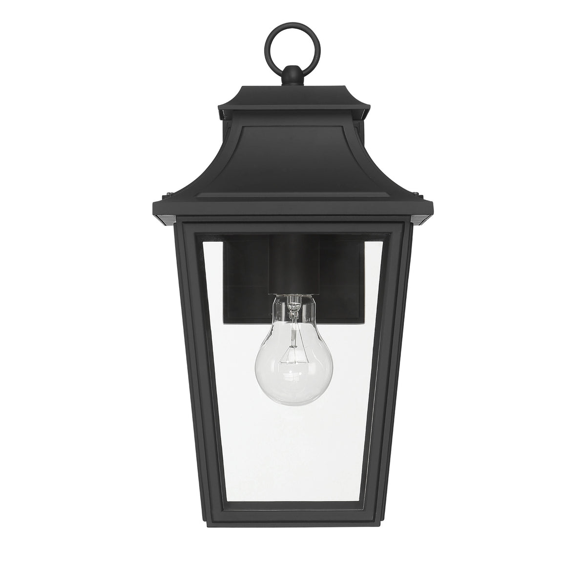 Hunter - 46080 - One Light Outdoor Wall Mount - Spring Cove - Matte Black