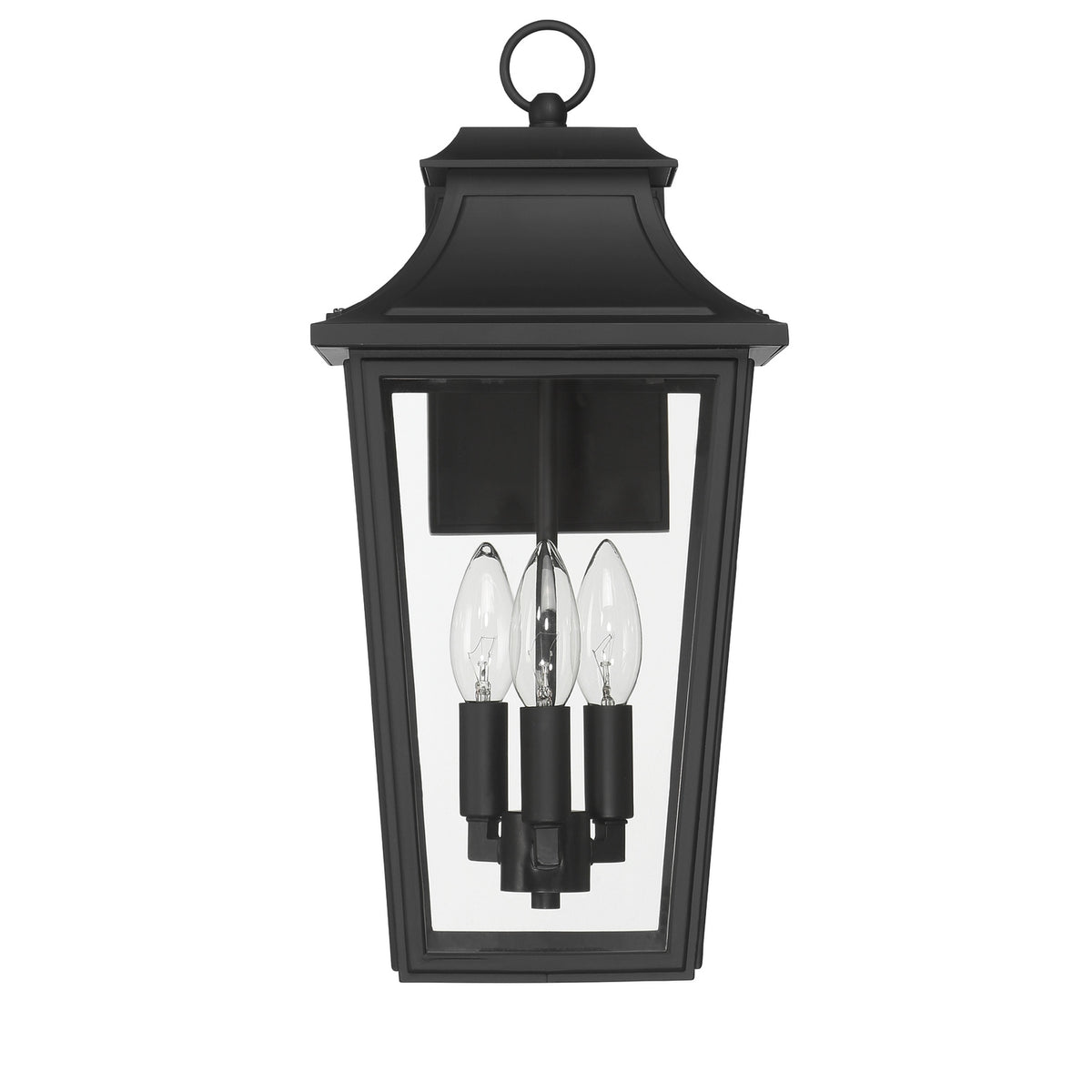 Hunter - 46080 - One Light Outdoor Wall Mount - Spring Cove - Matte Black