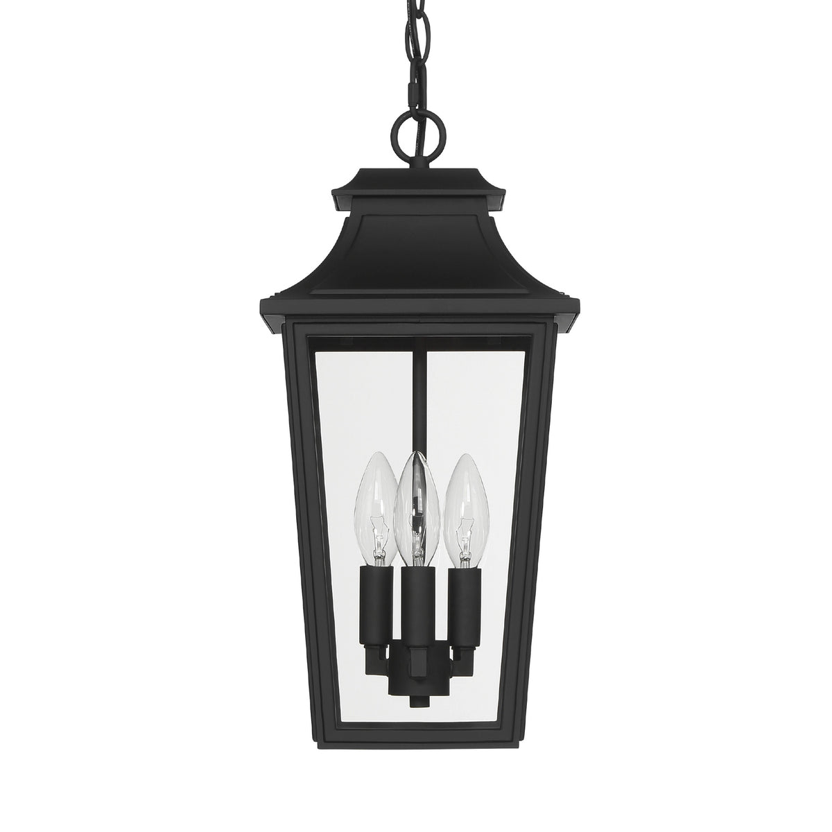 Hunter - 46084 - Three Light Outdoor Pendant - Spring Cove - Matte Black